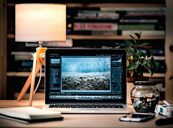 website development services, lotus group
